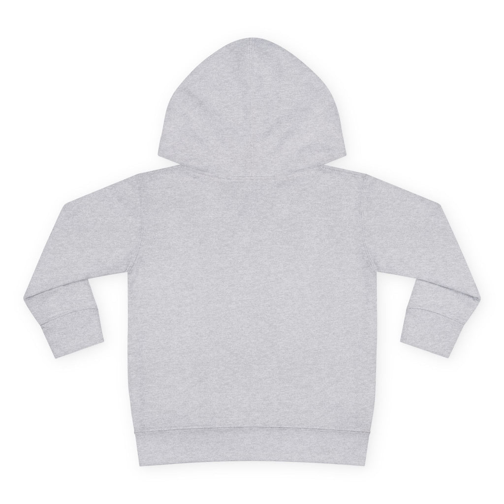 Toddler Hoodie with Blue Hooded Skull Graphic — Cute Edgy Kids Pullover