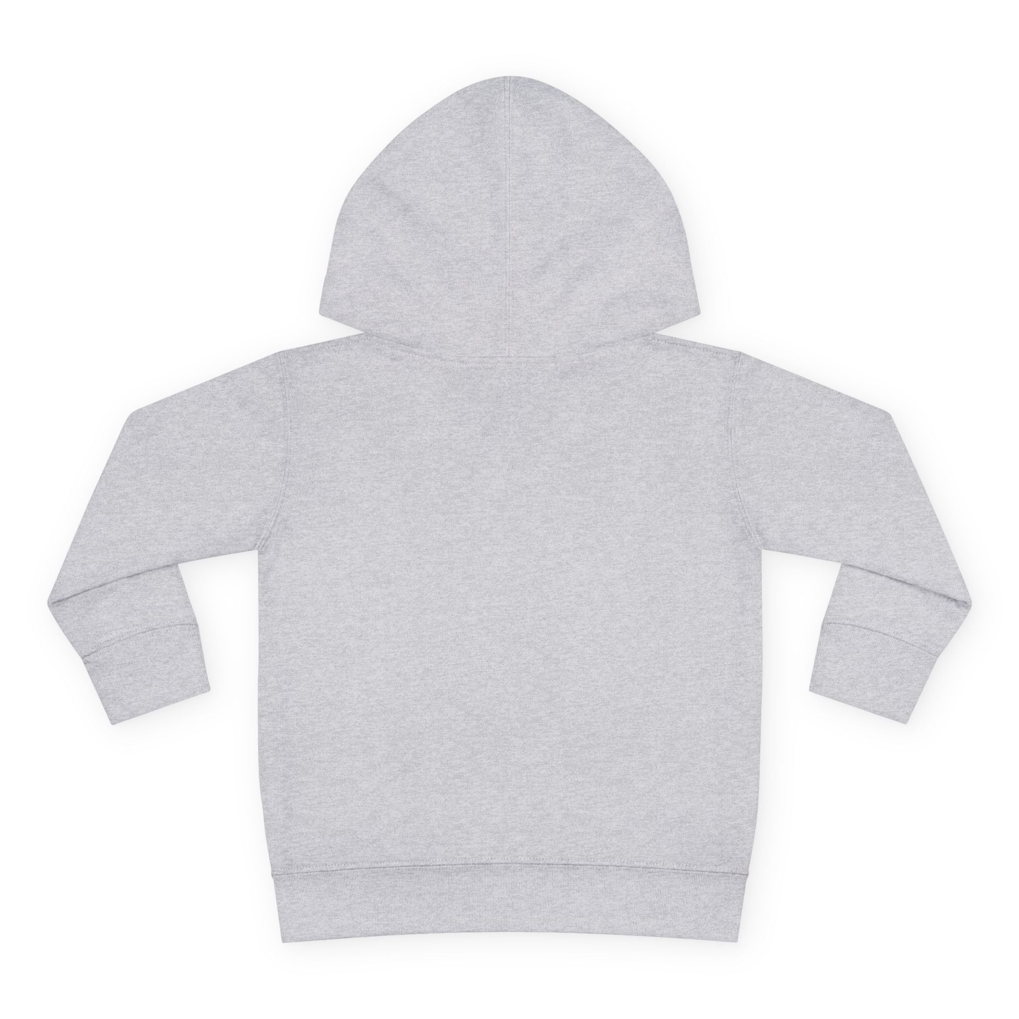 Toddler Hoodie with Blue Hooded Skull Graphic — Cute Edgy Kids Pullover